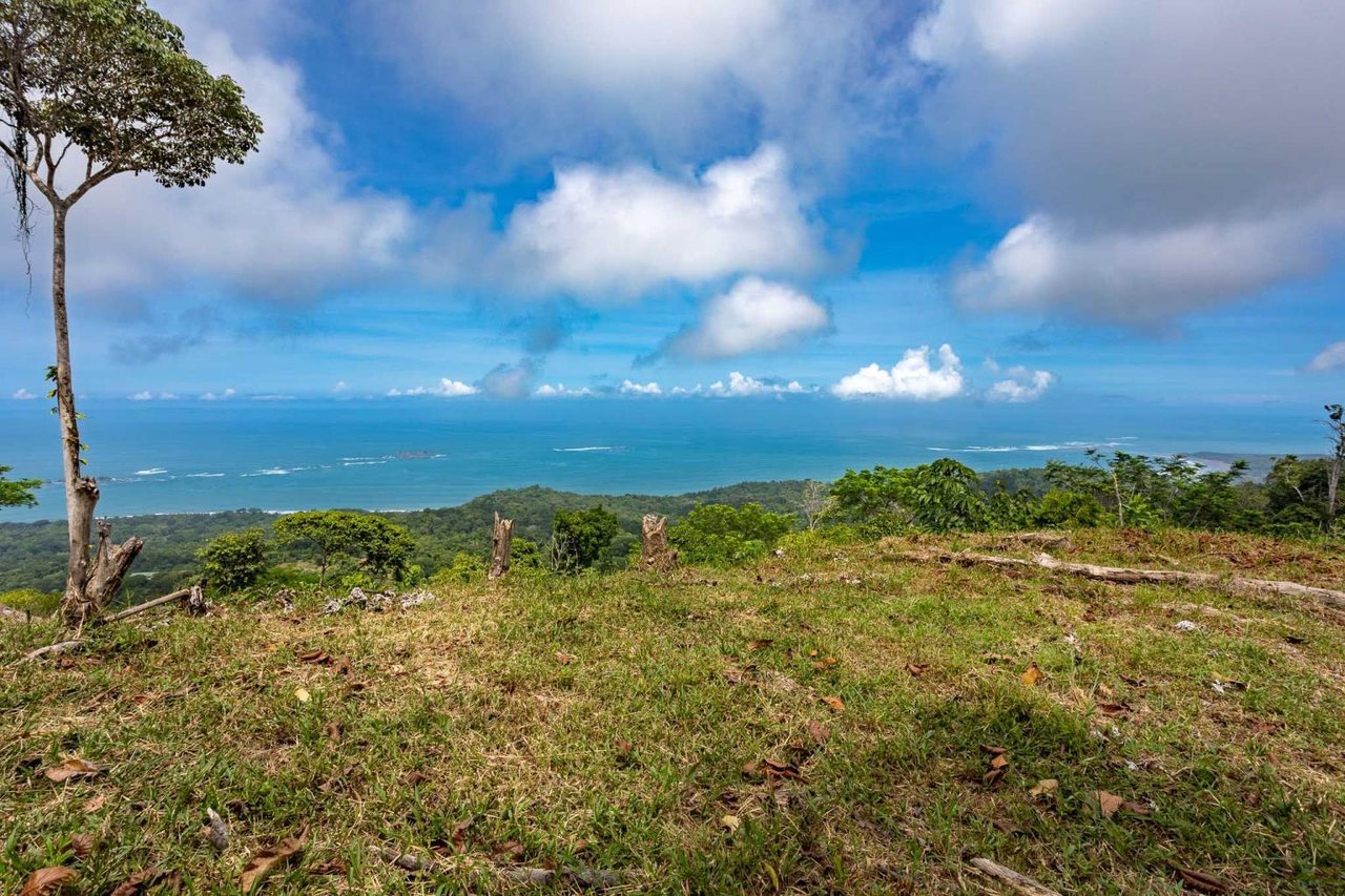 Rare Opportunity: Pristine 16-Acre Oceanview Sanctuary for Exclusive Development in Uvita
