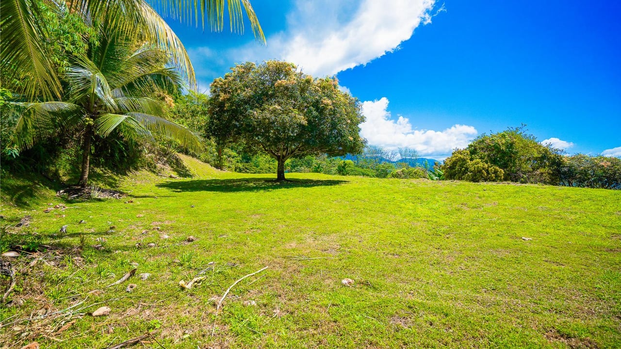 Panoramic Ocean View Homesite, Ojochal, Puntarenas