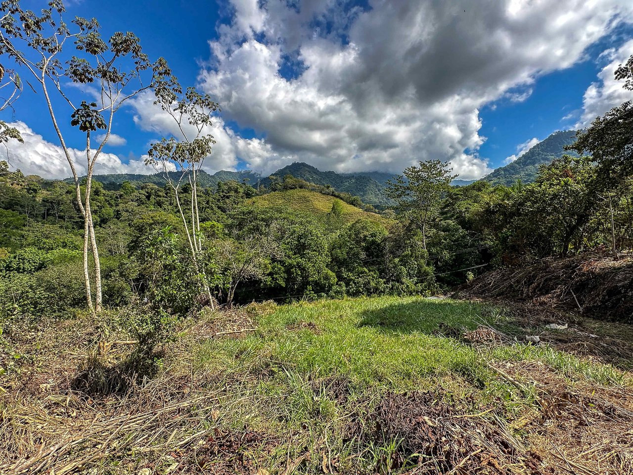 An elevated 1.2 acres lot with two plantels, panoramic mountain and jungle views.