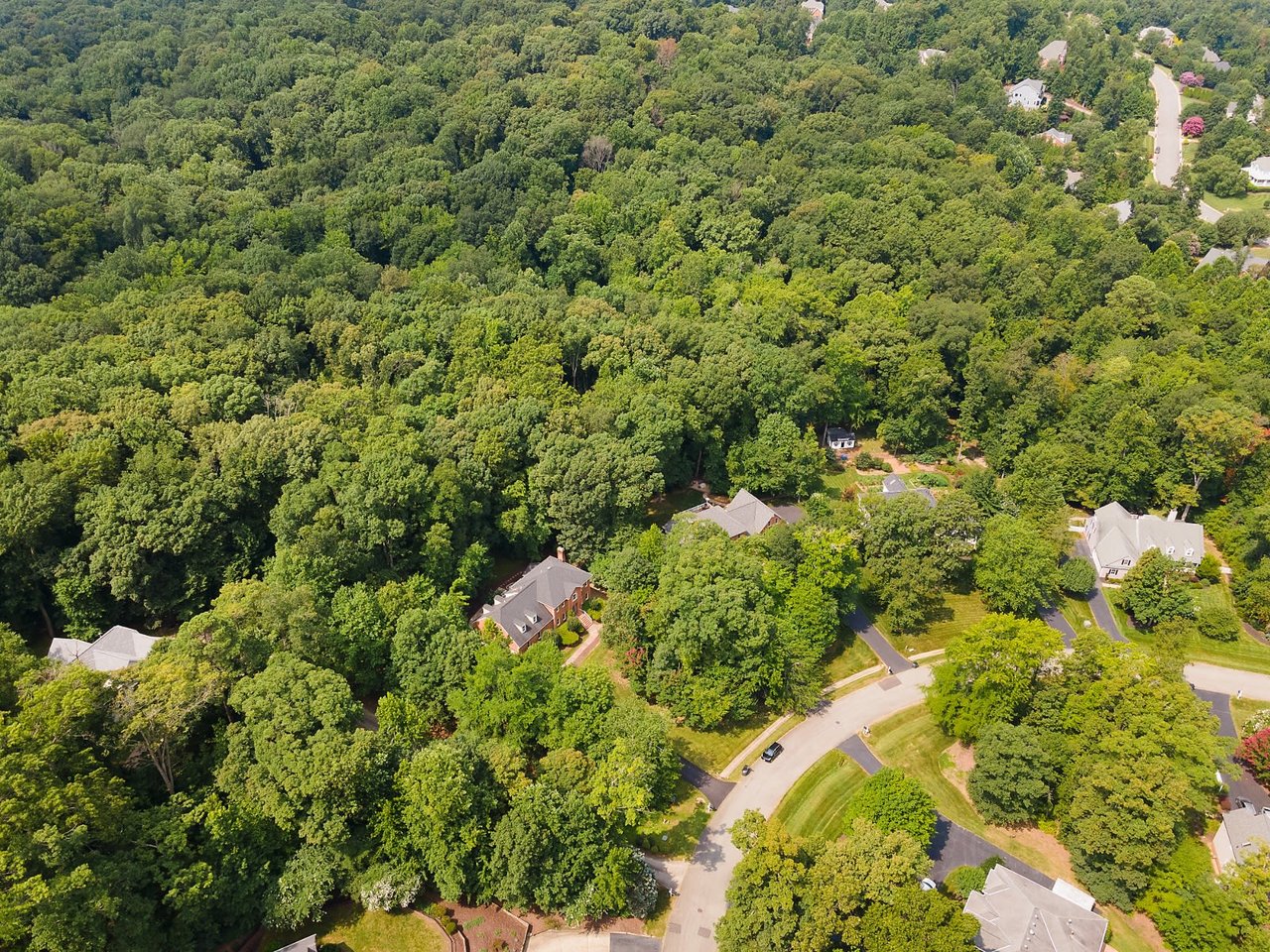 3328 Robious Forest Way