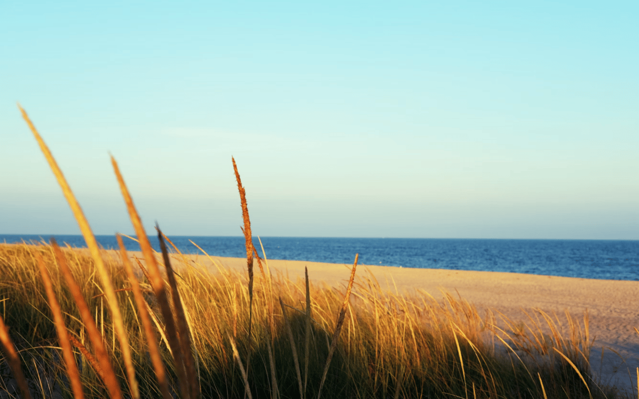 Market Predictions: Navigating Risks and Opportunities in The Hamptons Real Estate Market