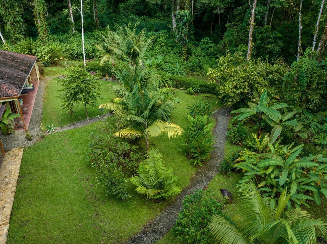 Ocean View Home With Rainforest Setting