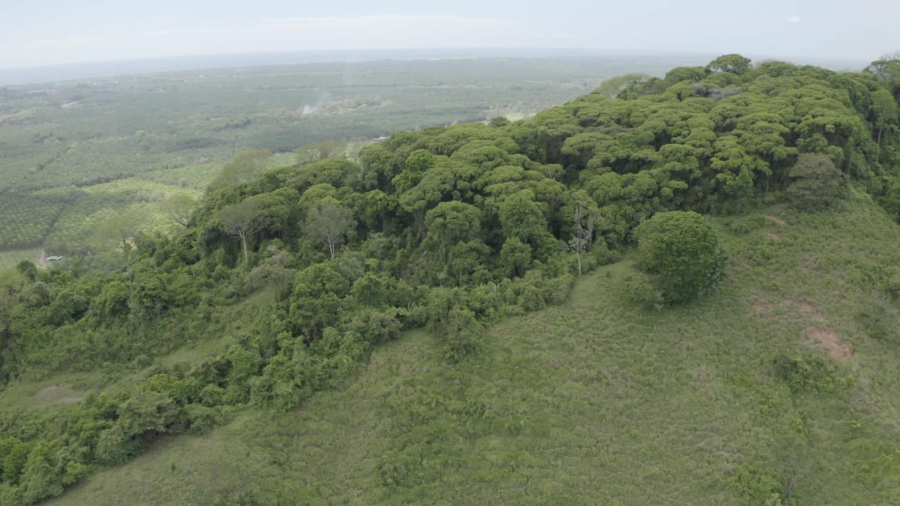 Prime 286-Acre Ocean View Property for Sale Near Quepos, Costa Rica – Ideal for Development