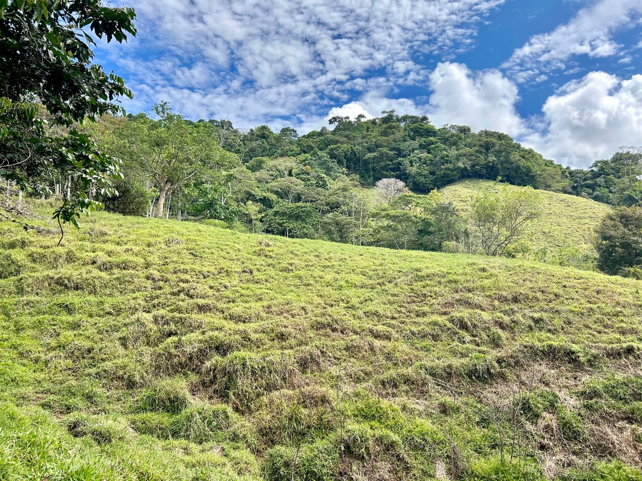 Hidden Gem: Serene Farm Retreat with Majestic Views in Costa Rica