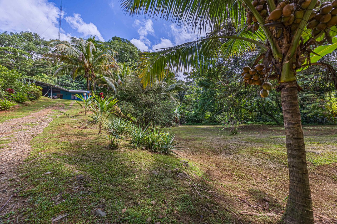 Tropical Hideaway – 7 Acres of Secluded Riverfront with a 3-Bedroom Home