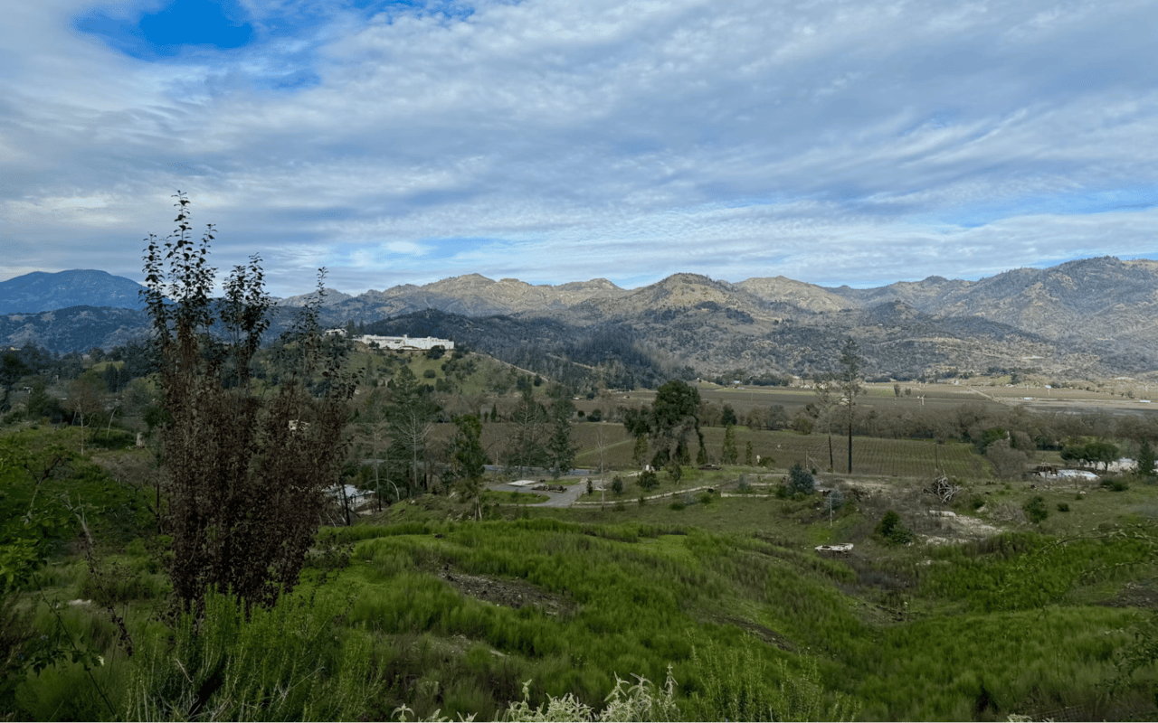 Things to Do in Calistoga