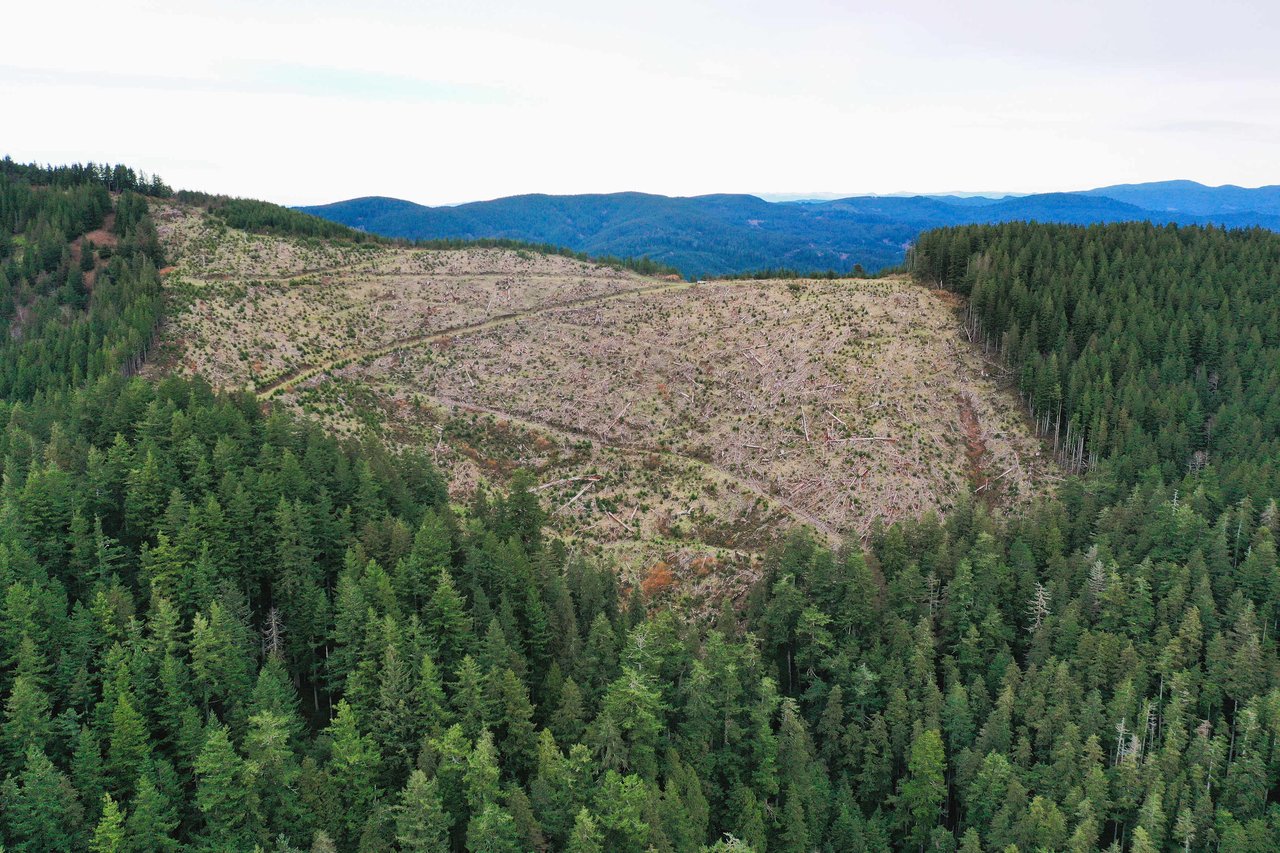 Cummins Creek Wilderness Overlook