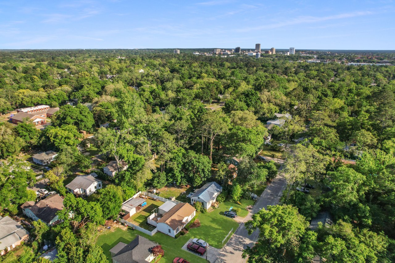 An aerial view focusing on the residential community around Levy Park, showcasing houses, streets, and abundant trees.