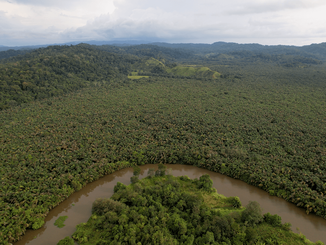 382 Acres of Sierpe River Wild Lands