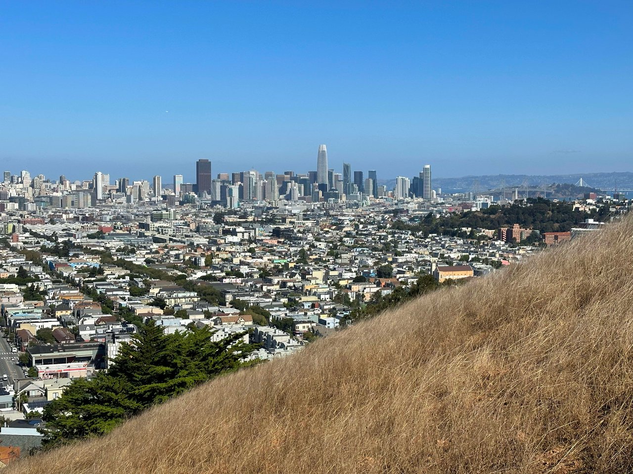 Bernal Heights