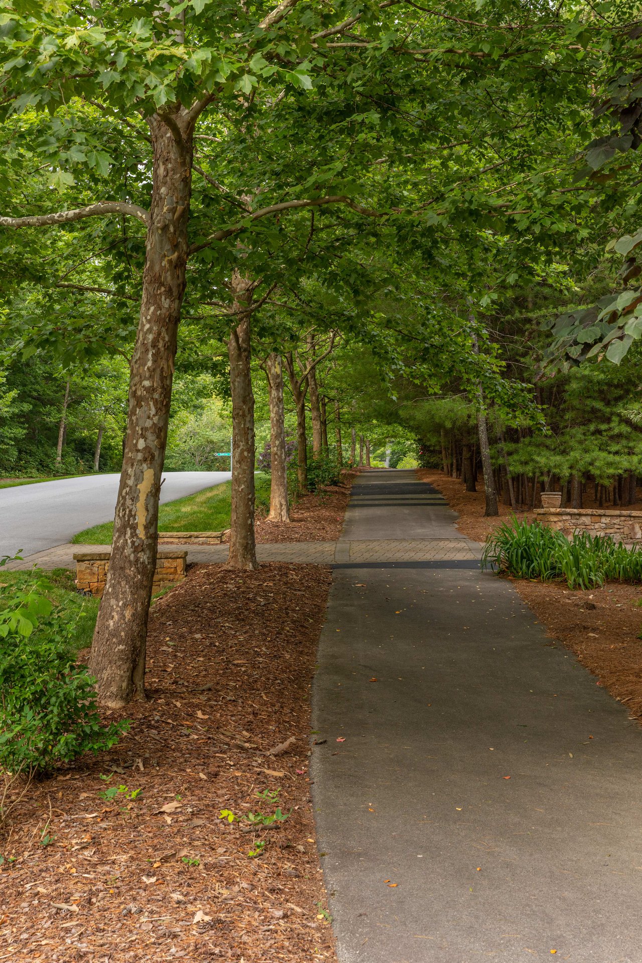 The Ramble Biltmore Forest