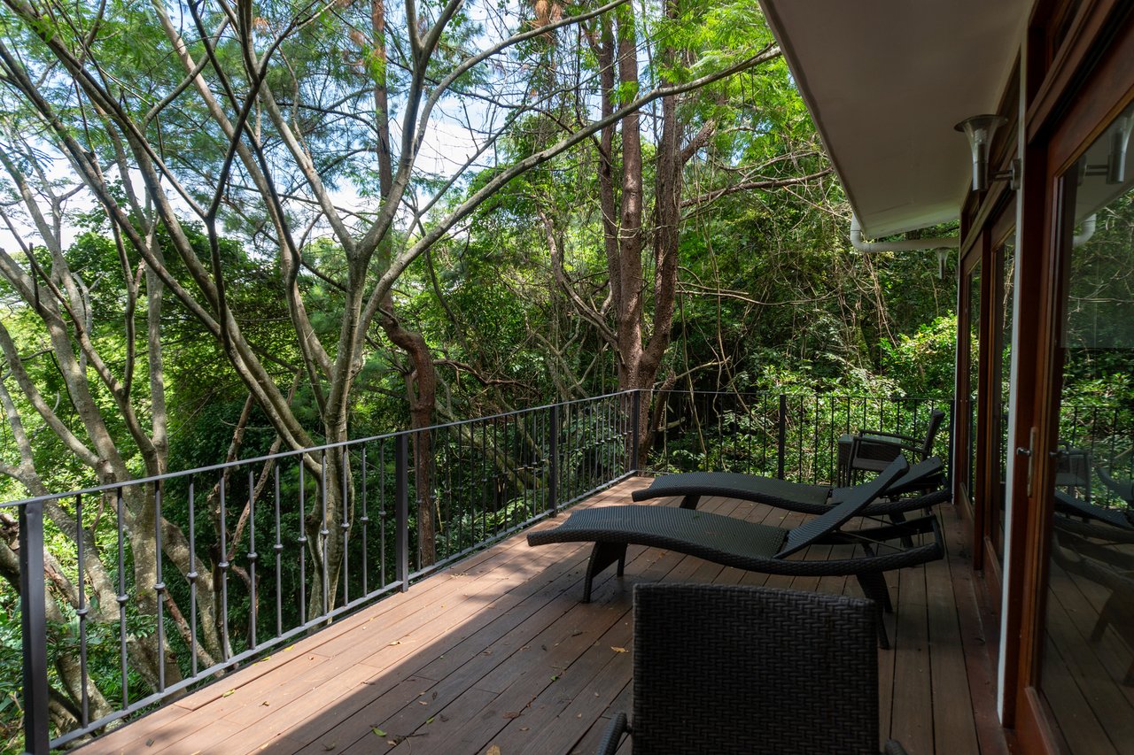 Mountain Estate With Guest Studio, Santa Ana, San Jose