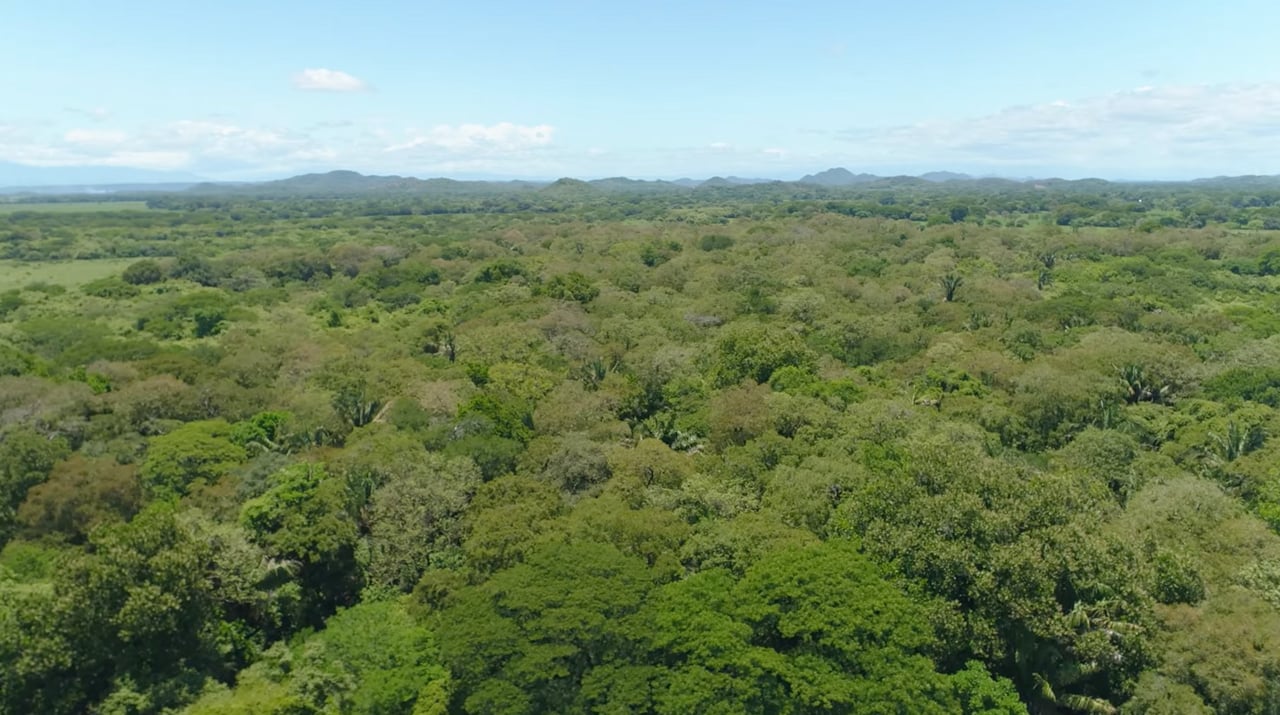 Strategic Cattle Ranch Development, Tamarindo, Guanacaste