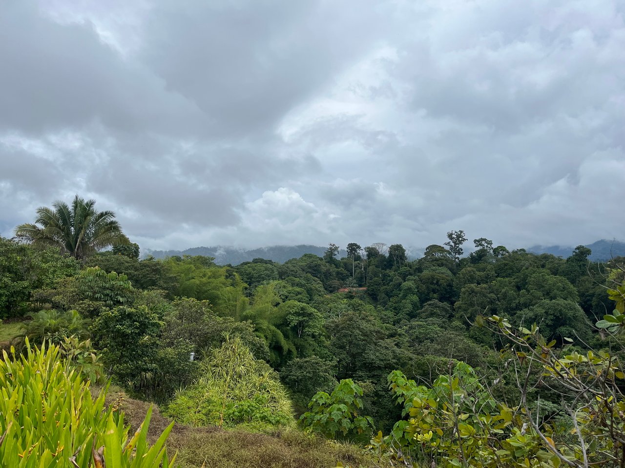 Private Ocean View Lot, Osa, Puntarenas