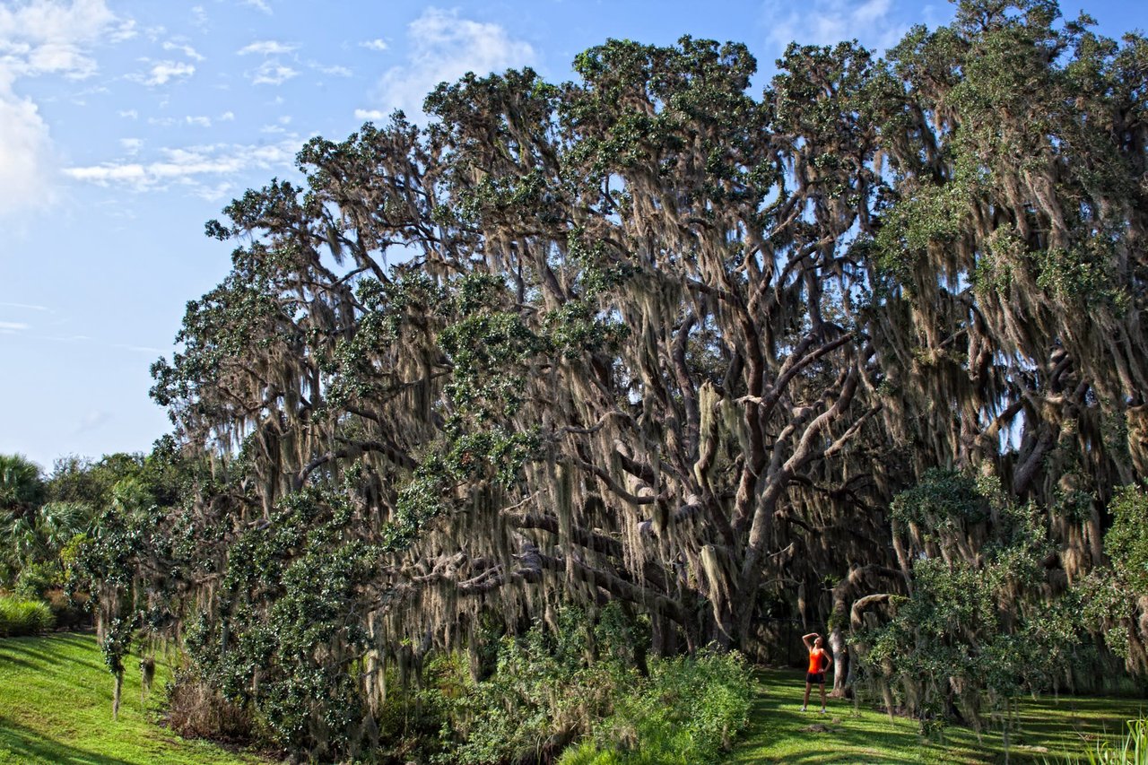 The Founders Club - Sarasota