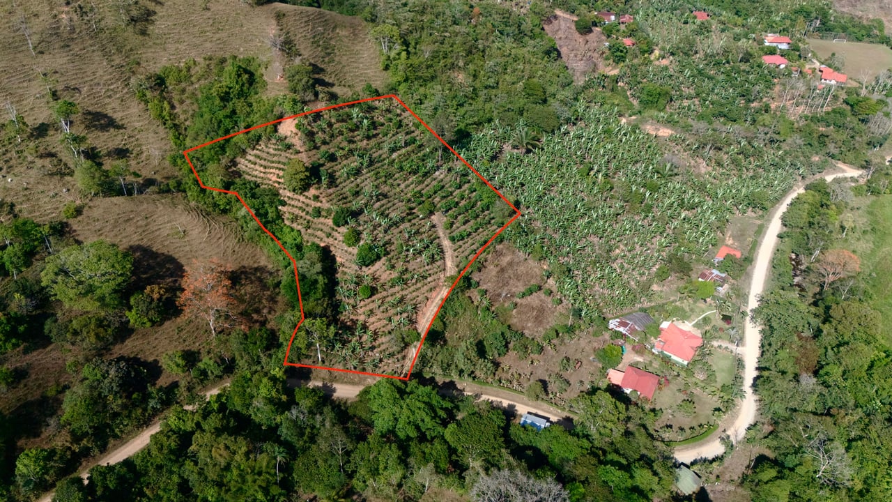 Over 2.5 Acres in Ceibo, Planted with Coffee and Fruits