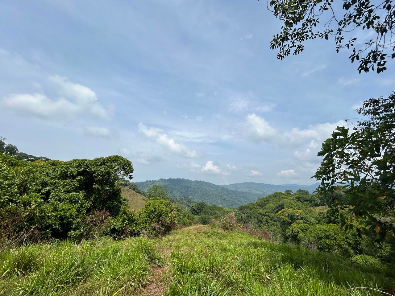 Over 76 Acres in Hatillo Overlooking Playa Linda