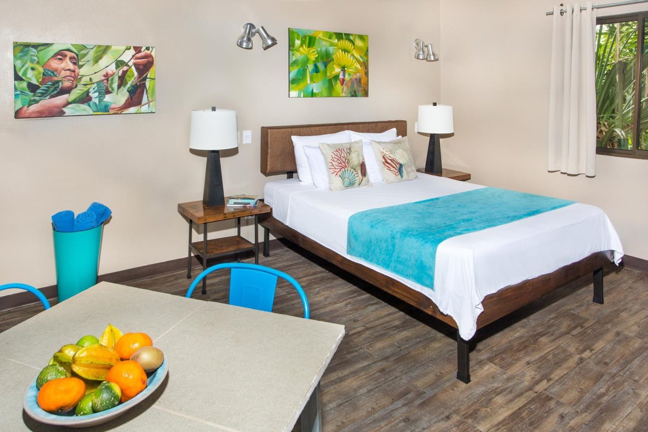 Modern Boutique Hotel for Sale in Manuel Antonio