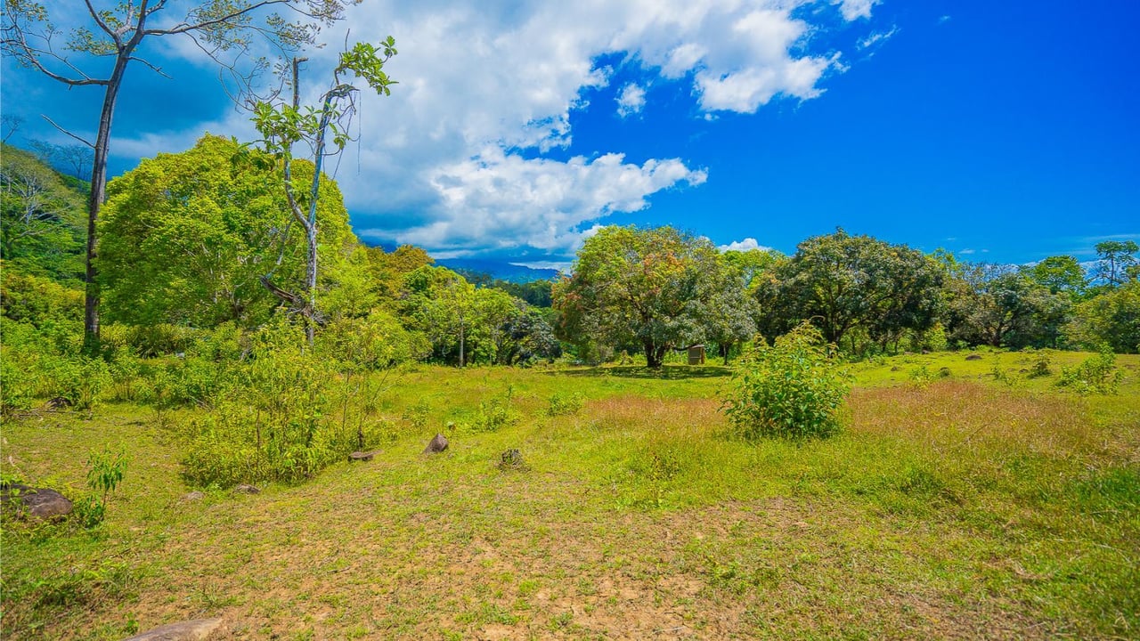 Forest View Building Lot, Ojochal, Puntarenas