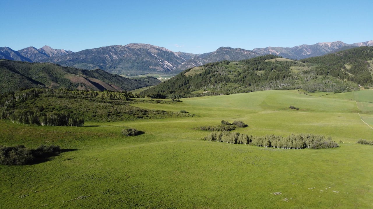 Willow Creek Ranch And Range