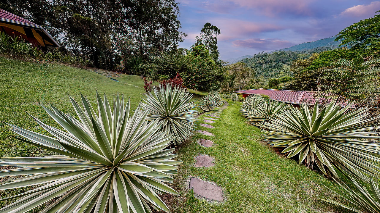 A Tranquil Haven: Prime Investment Opportunity in Uvita's Lush River Enclave