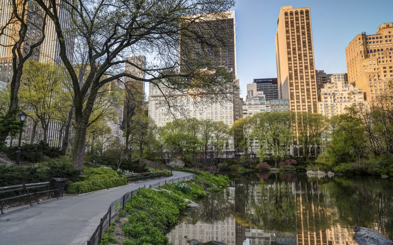 A pond in Central Park with tall buildings in the background with the water reflecting the buildings.