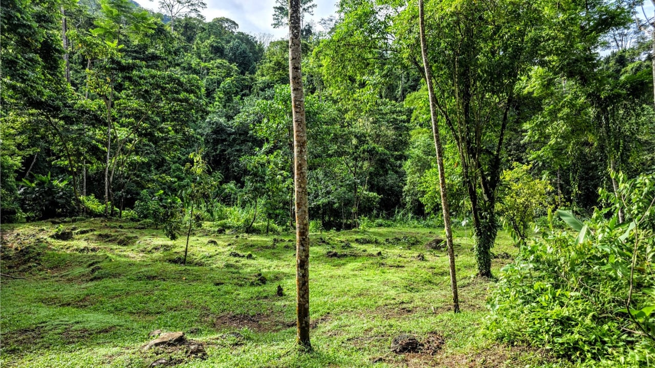 Rainforest Waterfall Acreage Estate, Dominical, Puntarenas