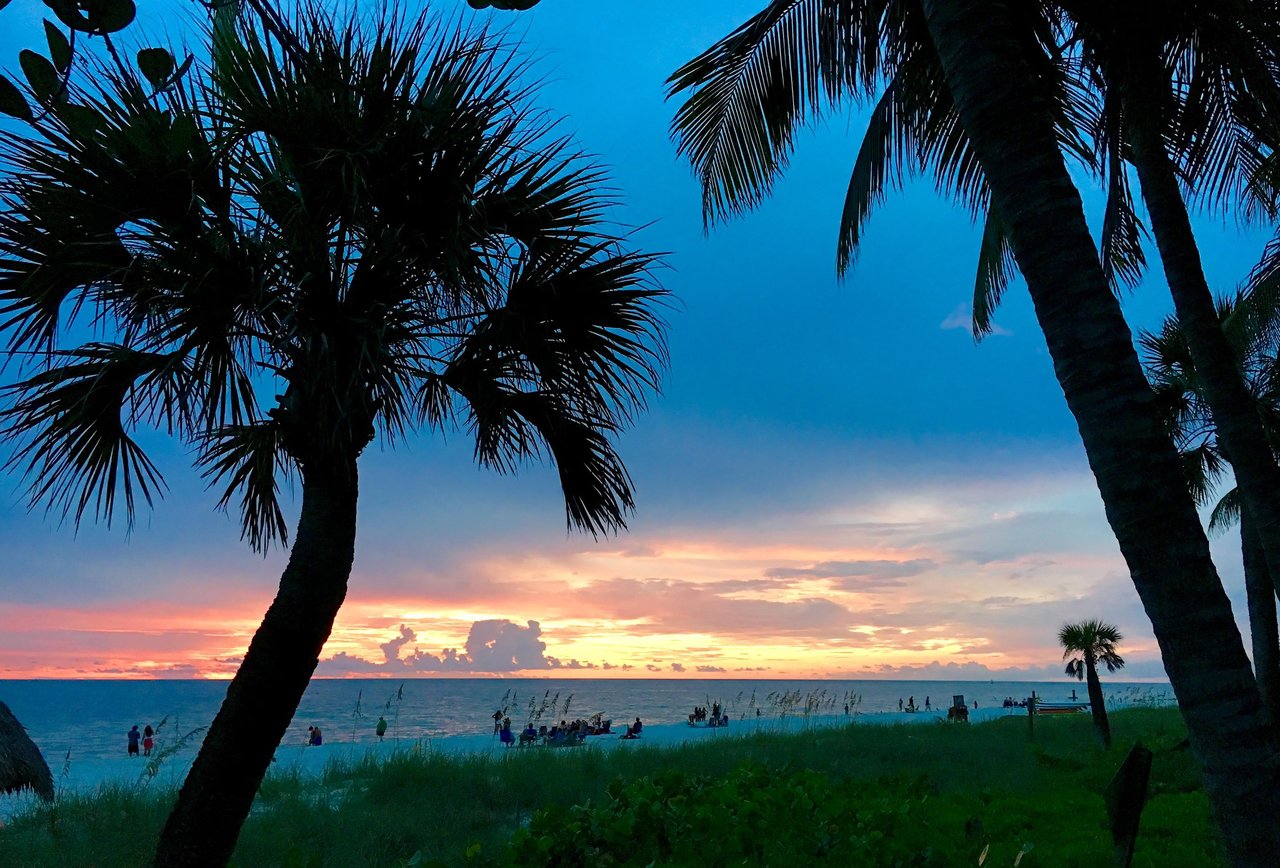 Coquina Sands