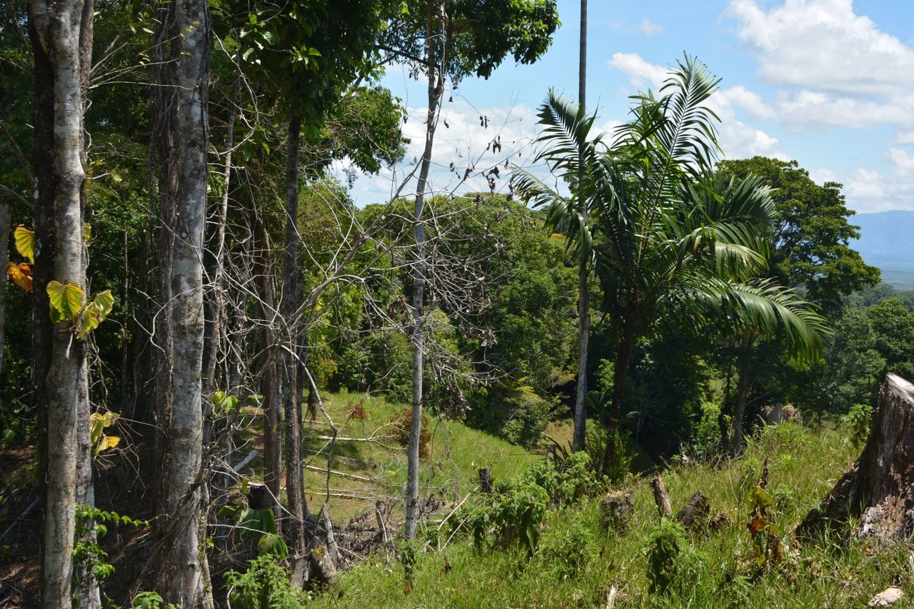 Expansive Ocean View Development Land, Osa, Puntarenas