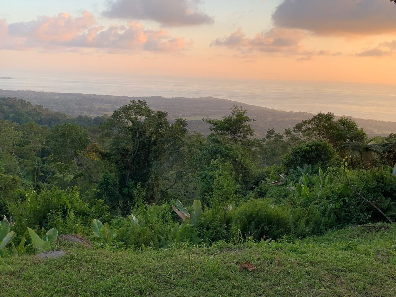 Whale Tail View Development Site, Uvita, Puntarenas