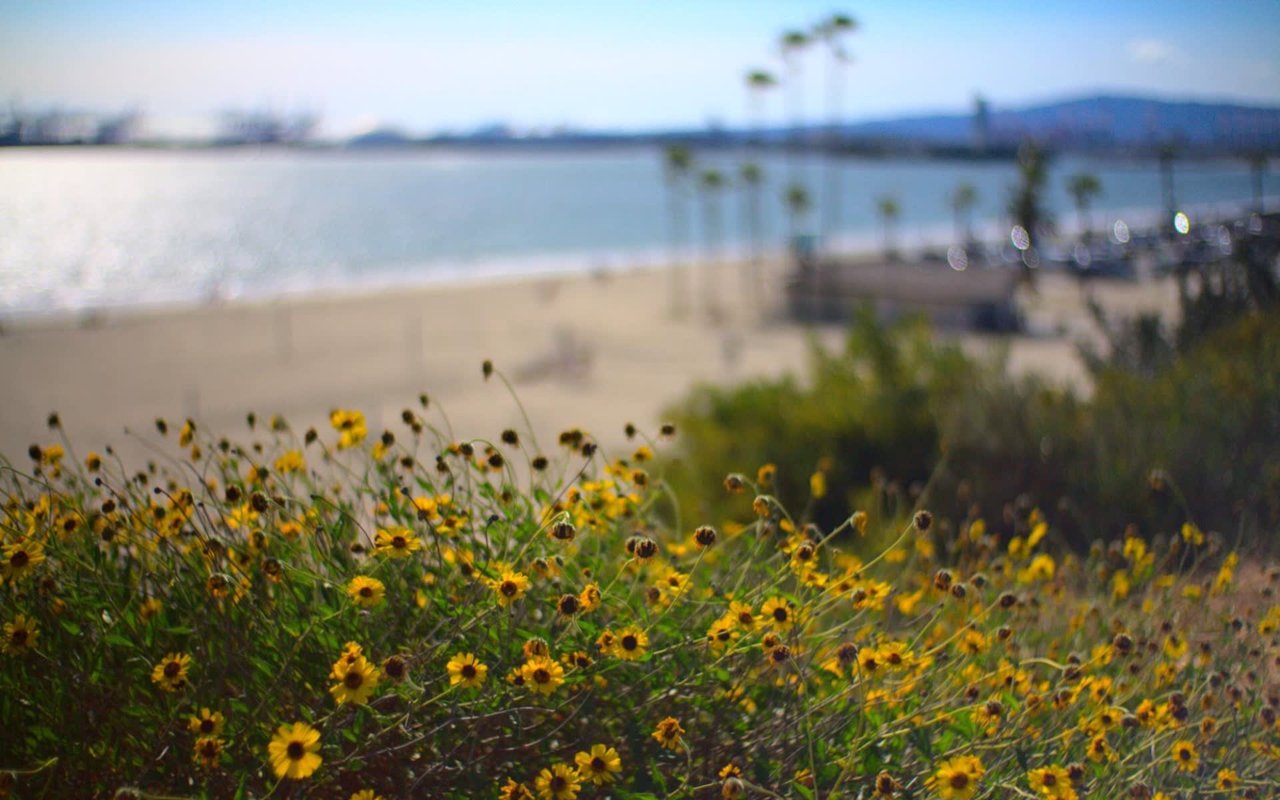 Getting to Know Long Beach Waterfront Property