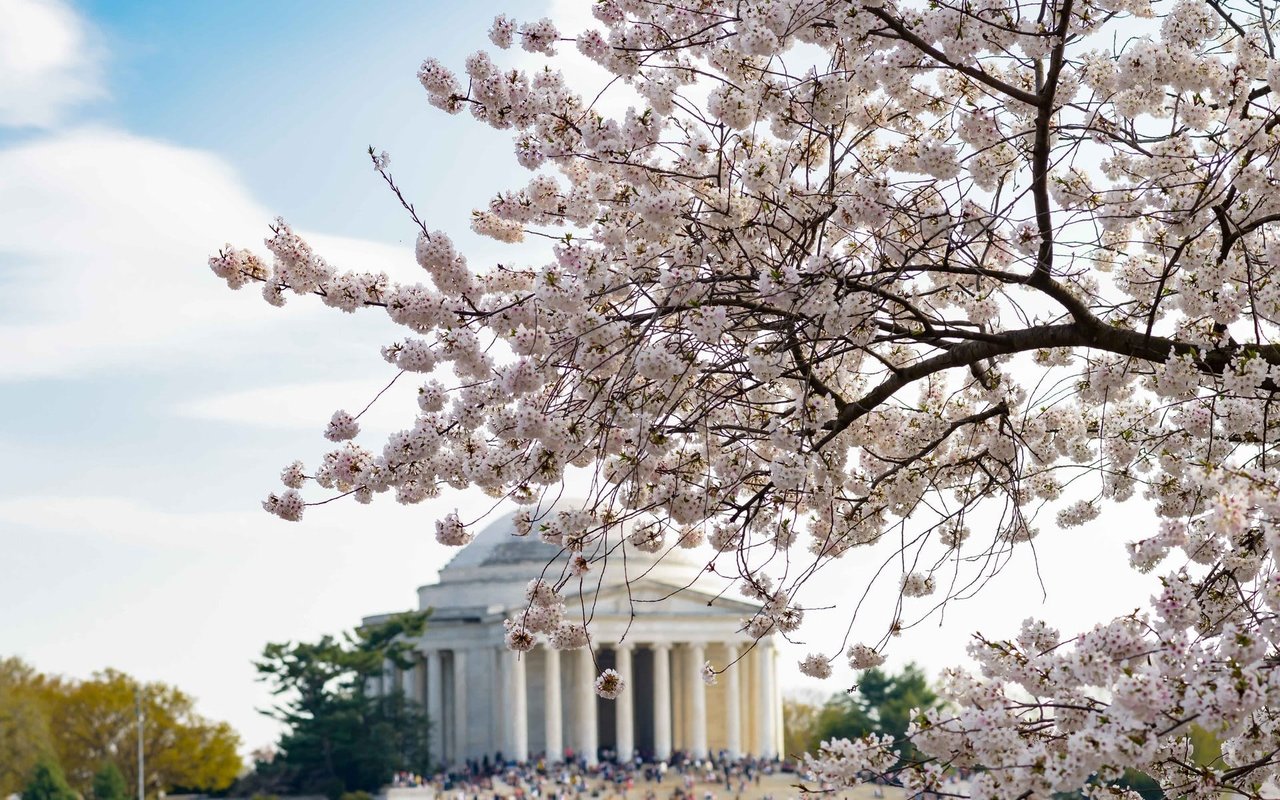 Spring on the Horizon