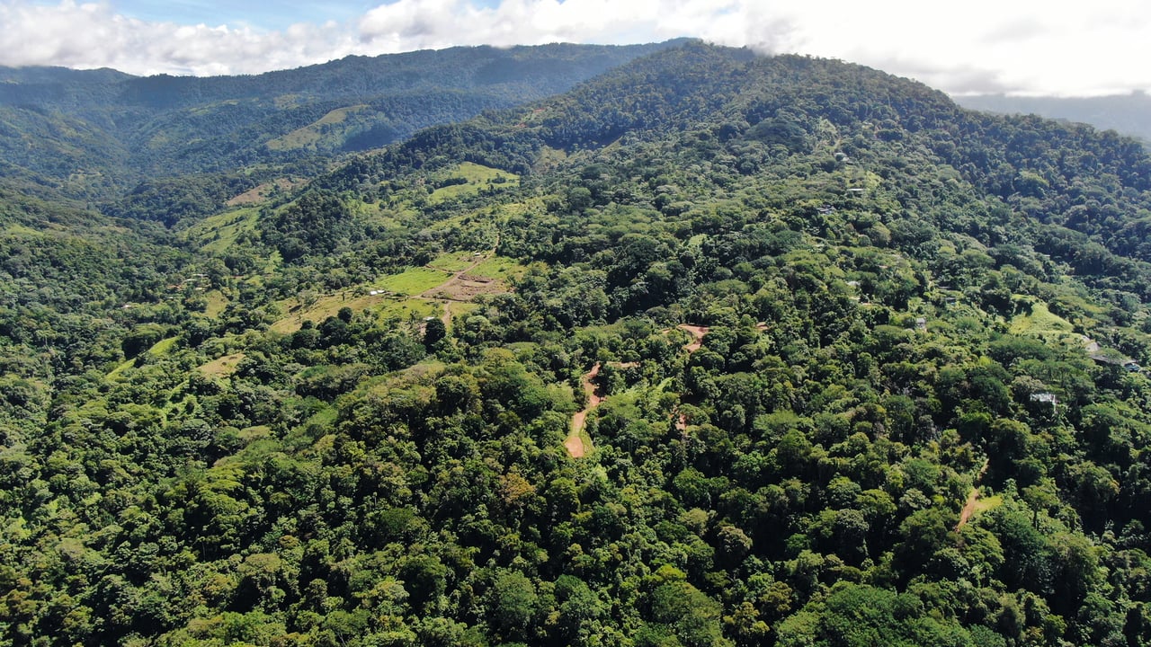 Whale Tail View Development Parcel, Uvita, Puntarenas