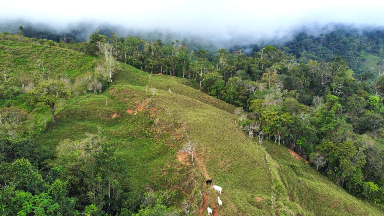 OVER 14 ACRES FARM IN ALTO DE GUADALUPE