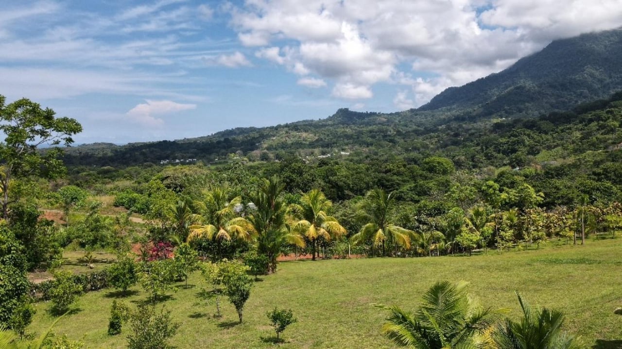 Multi Residence Ocean View Estate, Ojochal, Puntarenas