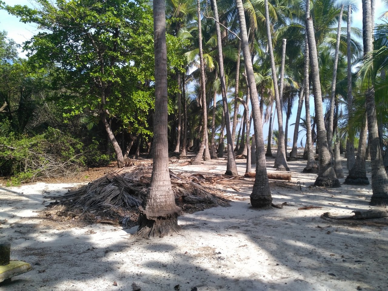 Private Secluded Beachfront Lot, Santa Teresa, Puntarenas