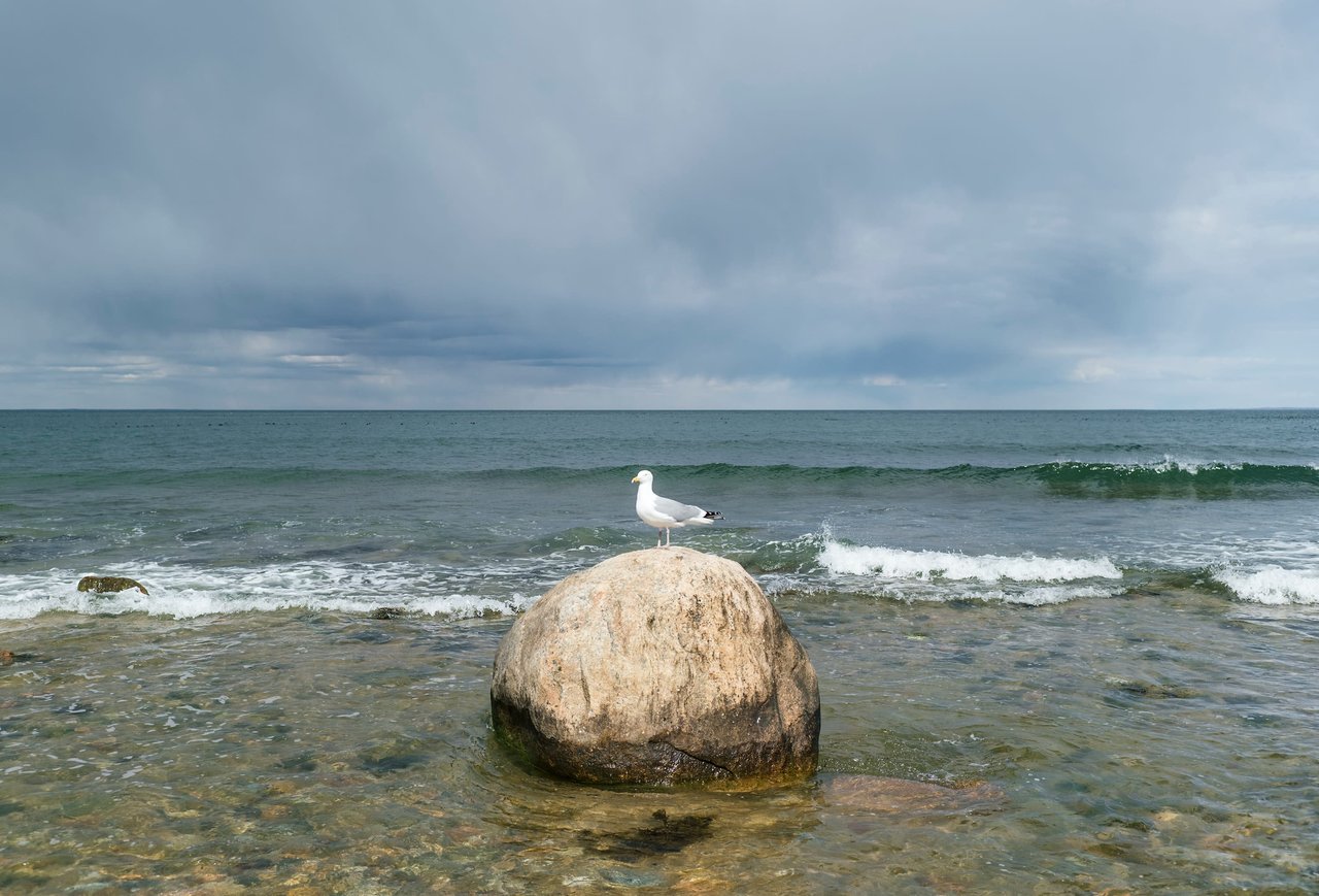 Amagansett