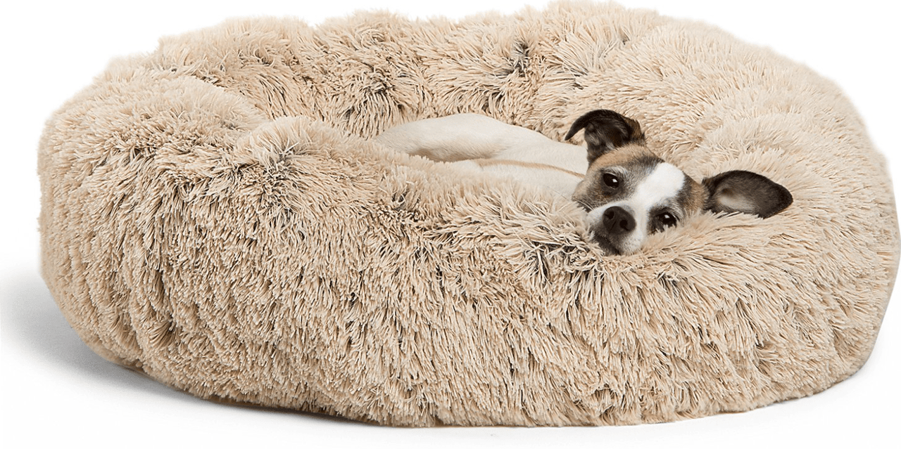 Cozy Pets!