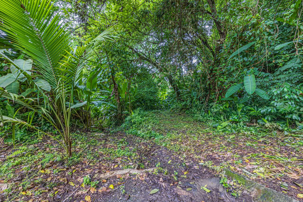 10-Acre Uvita Commercial Property with Existing Hotel & Highway Frontage – Development Potential Near the Beach