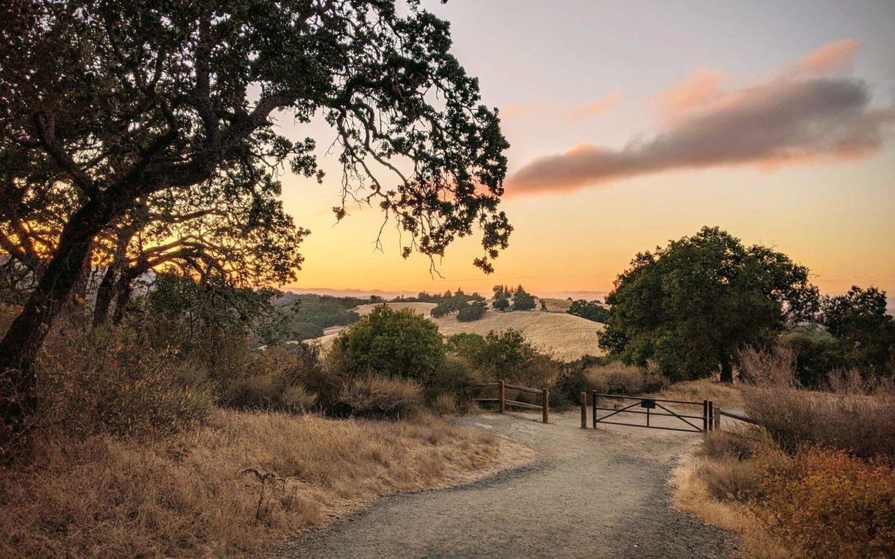 Los Altos Hills