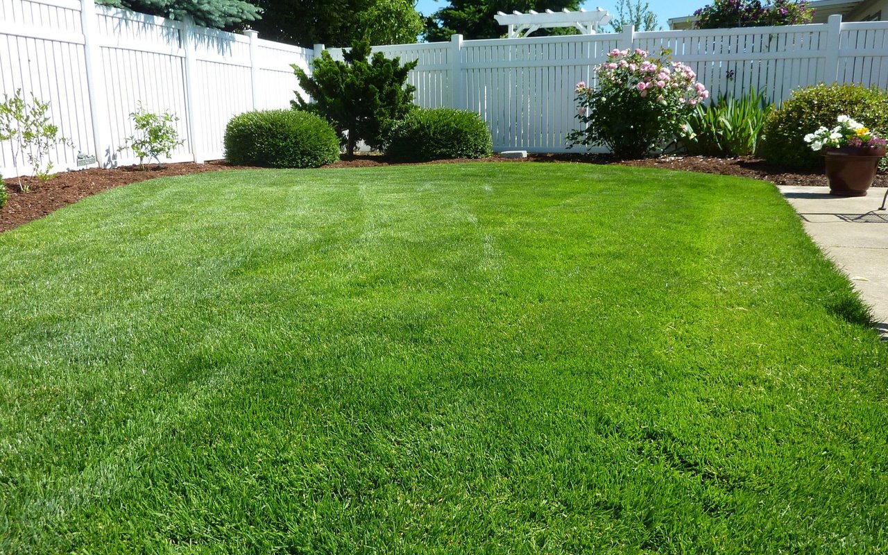 Crabgrass Preventers: Lawn Care Guide
