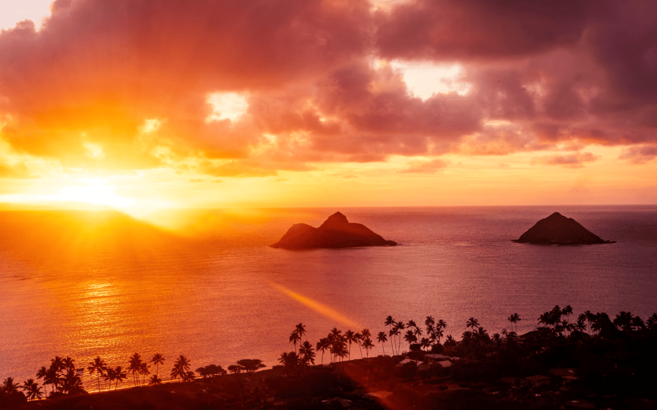 5 Day Trips From North Shore, Oahu