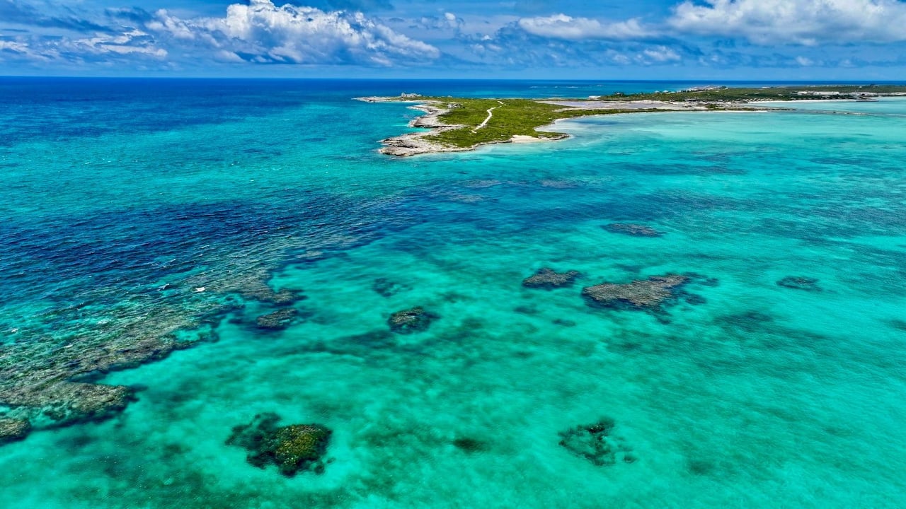 Tarpon Point-Ambergris Cay