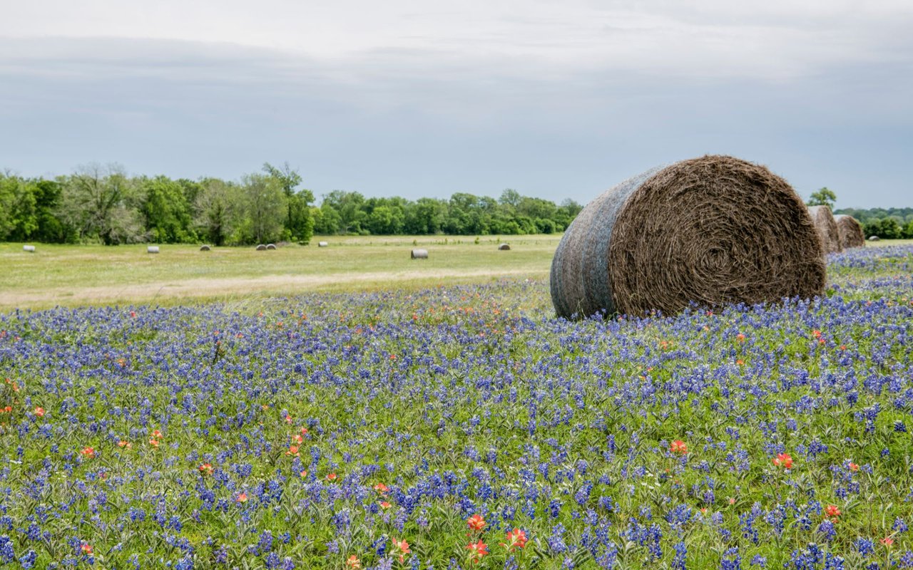 Hill Country