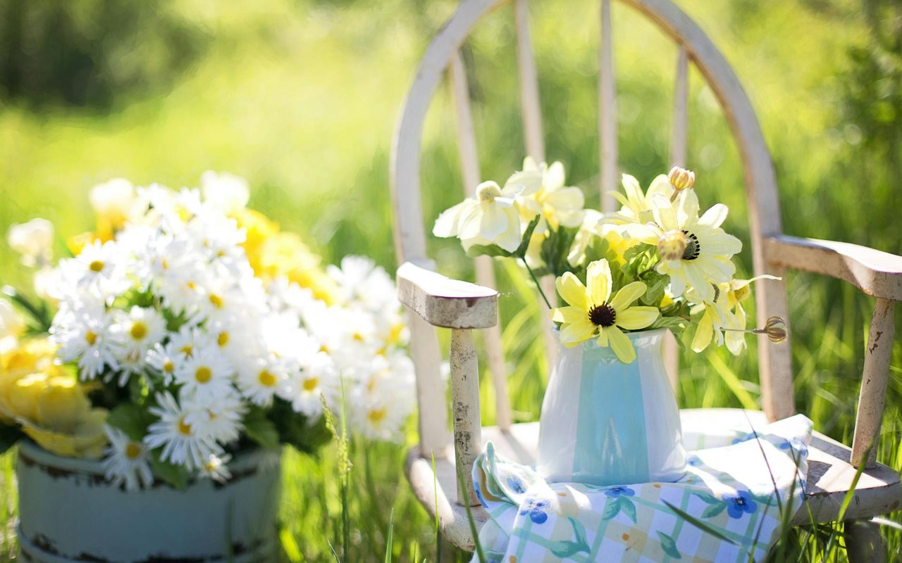 On Trend: Mod Garden Design