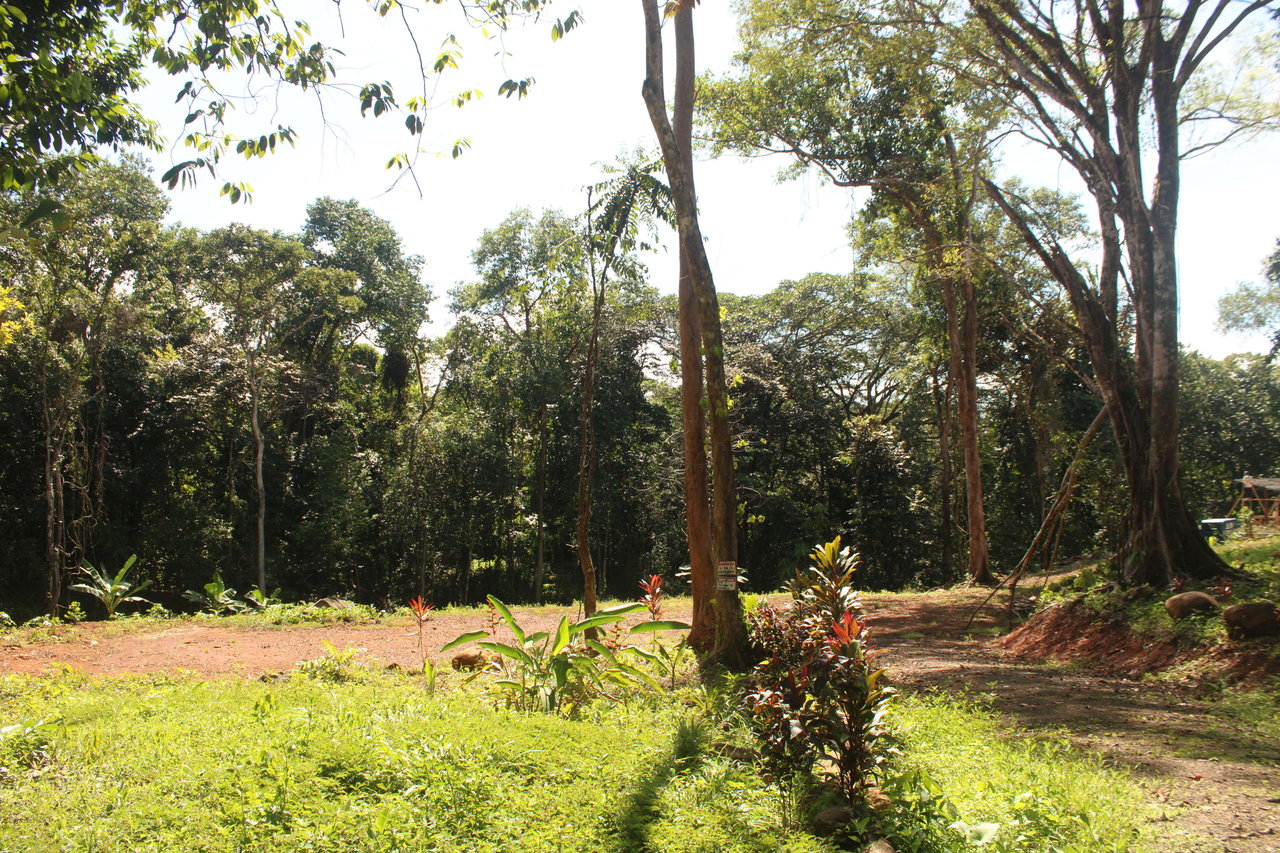 River Frontage Lot close to Uvita