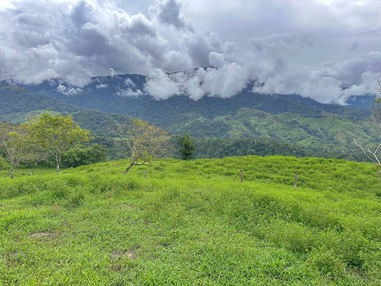 Breathtaking 210 Foot Waterfall on Over 200 Acres of Land in the Lush Hills & Mountains of Perez Zeledon – with SO MANY Additional Development Options!