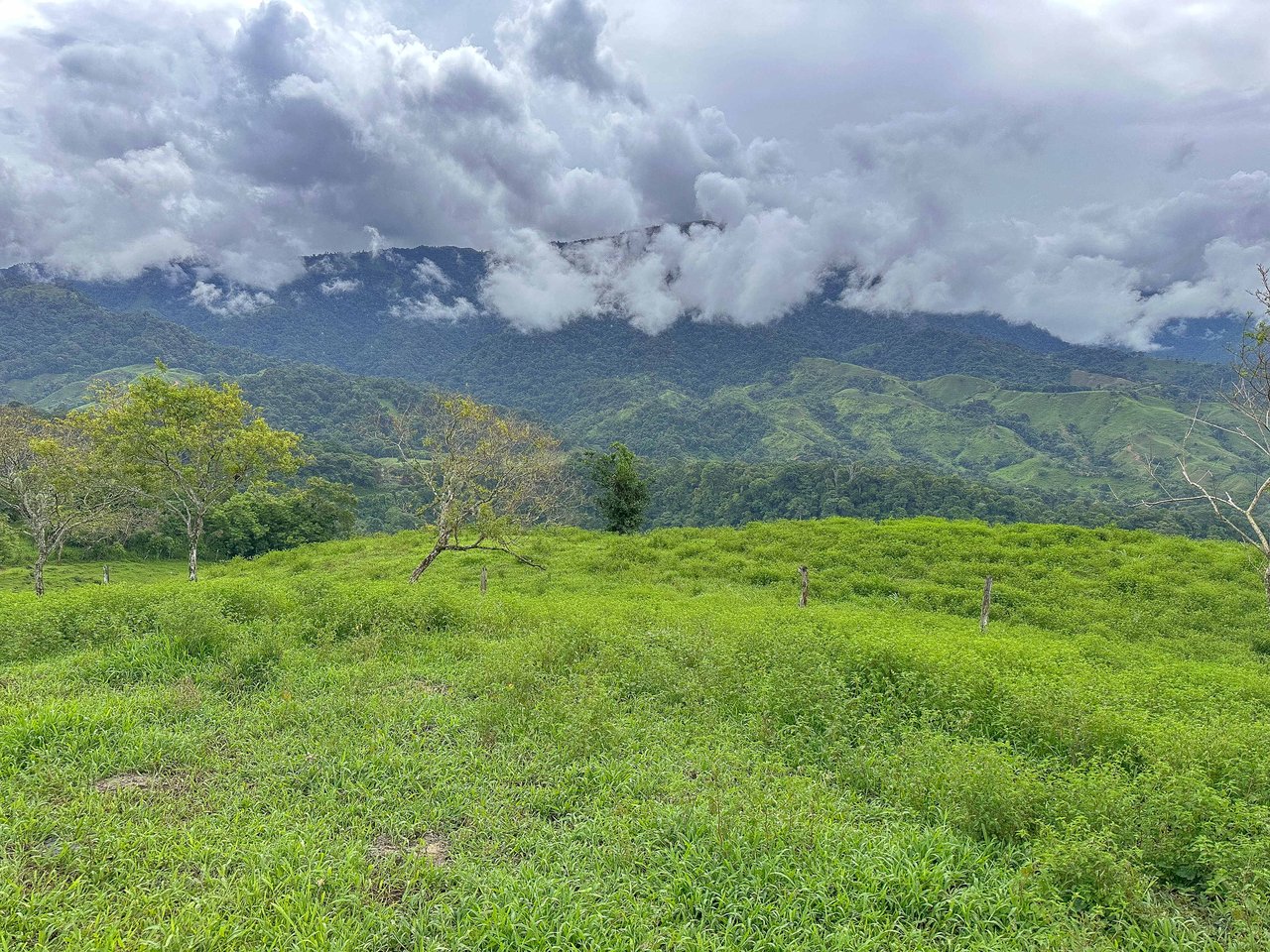 Breathtaking 210 Foot Waterfall on Over 200 Acres of Land in the Lush Hills & Mountains of Perez Zeledon – with SO MANY Additional Development Options!