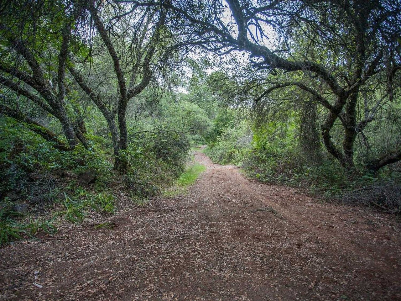 10 ACRES CREEKSIDE Drive