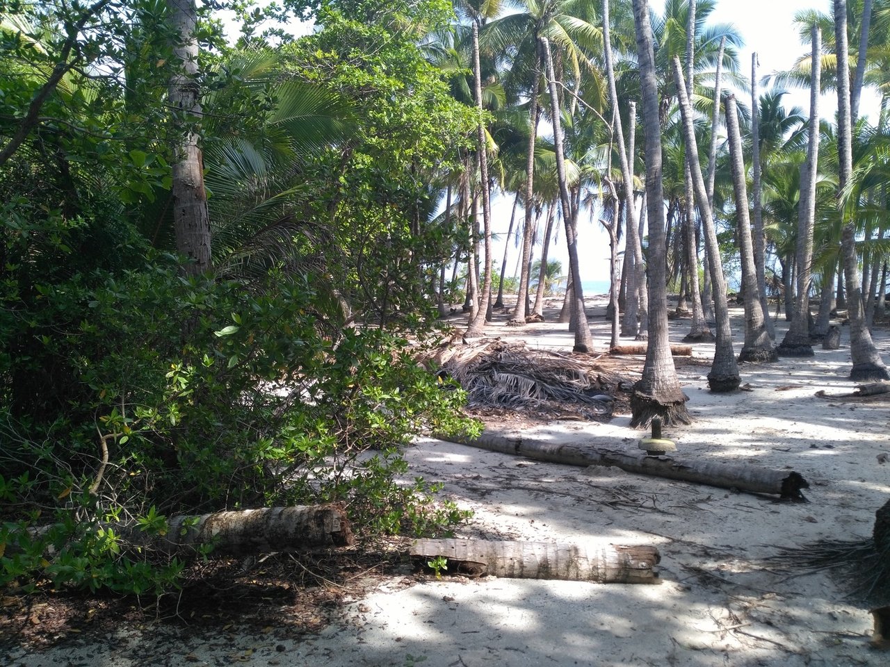 Private Secluded Beachfront Lot, Santa Teresa, Puntarenas